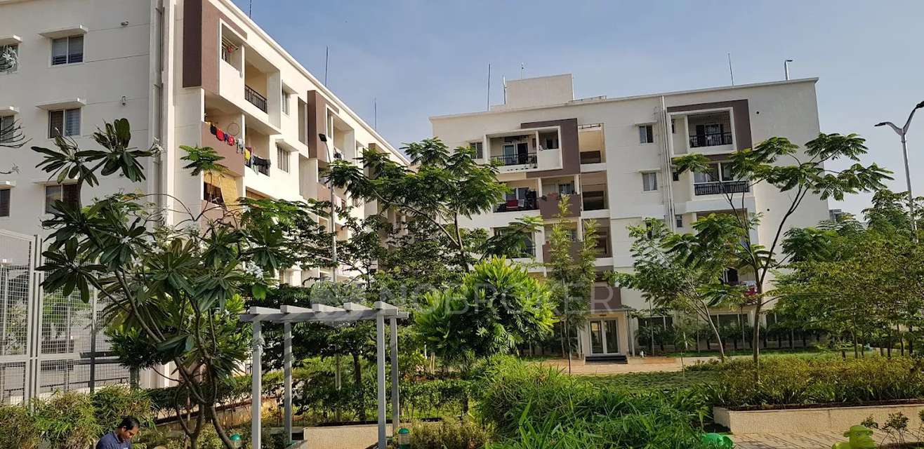 2 BHK Flat In Dsr Green Fields for Rent  In  Whitefield
