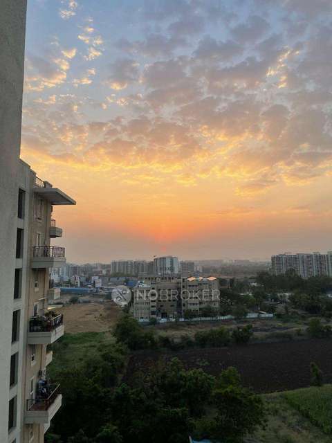 2 BHK Flat In Nyati Elan for Rent  In Wagholi