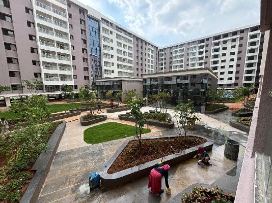 2 BHK Flat In Kohinoor Viva City for Rent  In Dhanori