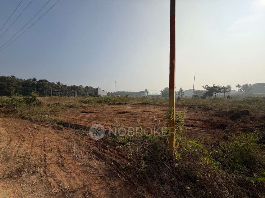Plot For Sale  In Averahalli