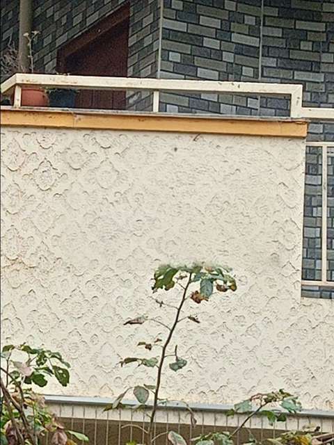 1 BHK Flat for Rent  In Whitefield