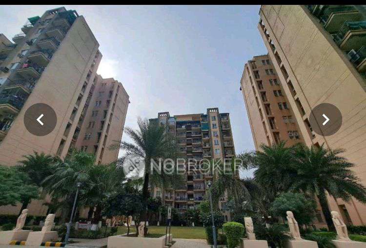 PG for Anyone in Tulip White