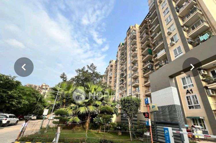 PG for Anyone in Tulip White