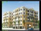 1 BHK Flat In Royal Apprtment  for Rent  In Hans Complex