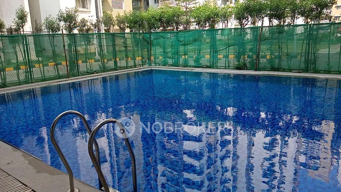 2 BHK Flat In Bhavya Thulsi Vanam for Rent  In Kukatpally