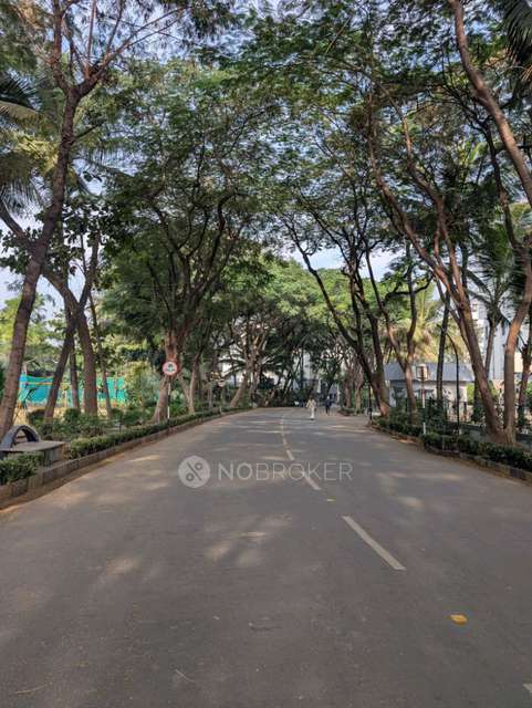 3 BHK Flat In Oxford Florida Estate Villas for Rent  In Mundhwa