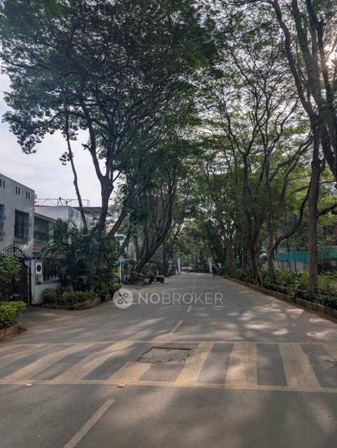 3 BHK Flat In Oxford Florida Estate Villas for Rent  In Mundhwa