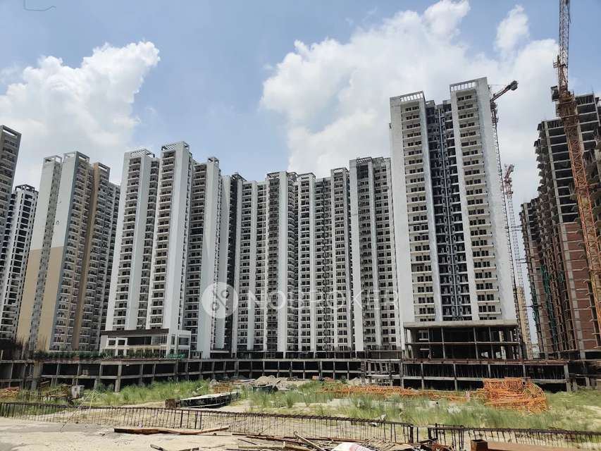 3 BHK Flat In Panchsheel Green 2 for Rent  In Sector 16 B