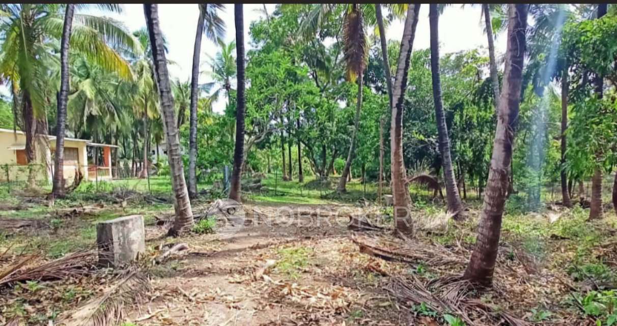 Plot For Sale  In Alibag