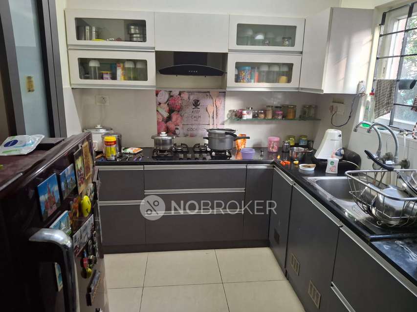 2 BHK Flat In Navins Septem, Adayar for Rent  In Adayar