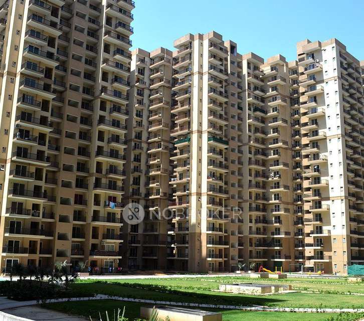 3 BHK Flat In La Residentia for Rent  In Amrapali Dream Valley
