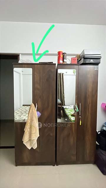 Single Room for Female In 2 BHK  In Paladio Aprtment  In Wakad