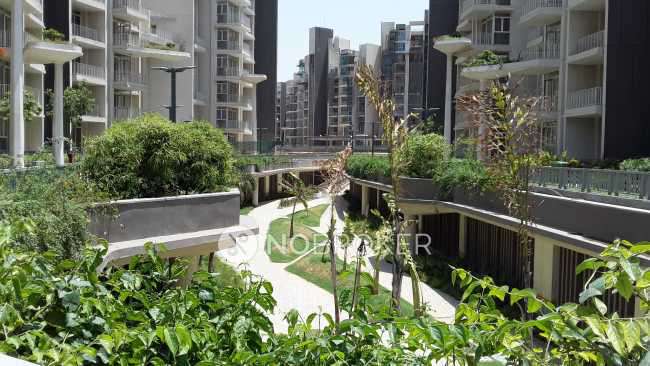 4 BHK Flat In Ireo Victory Valley For Sale  In Sector 67