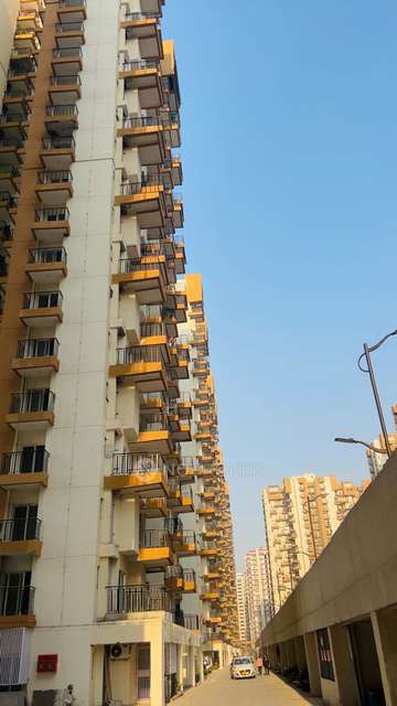 Single Room for Female In 2 BHK  In Amarpali Terrace Homes In Gaur City Mall