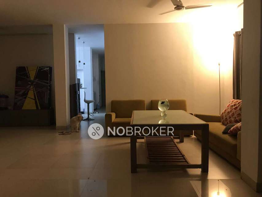 PG for Boys in Panjagutta