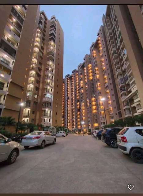 2 BHK Flat In Sikka Kamana Greens for Rent  In  Sector 143