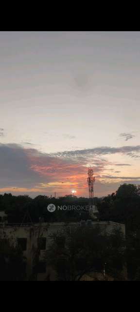 2 BHK Flat In Ganga Skies Housing Society for Rent  In Post Office