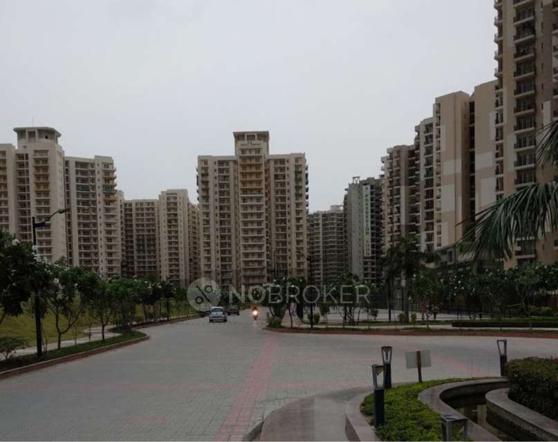 Single Room for Male In 2 BHK  In Palm Olympia In Gaur City 2