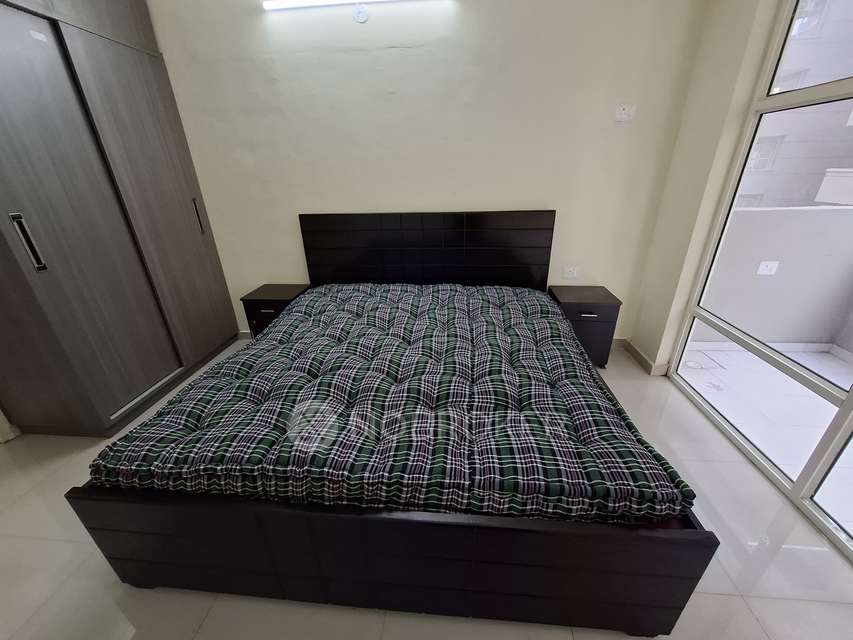 2 BHK Flat In Pyramid Elite, Sector 86 for Rent  In Sector 86