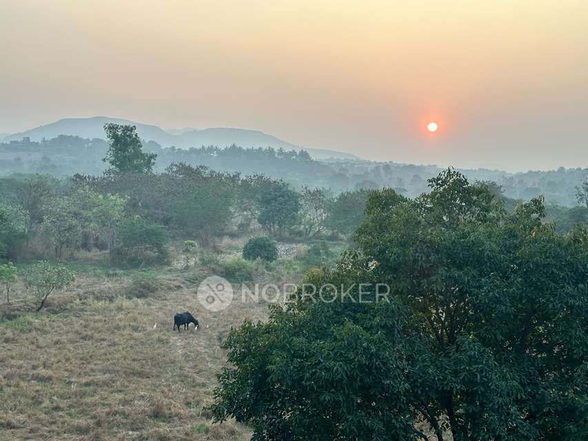 2 BHK Flat In Skyi Star Tower 3 For Sale  In Skyi Star Towers, Pune