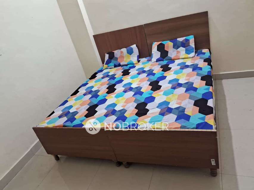 PG for Boys in Sector 66