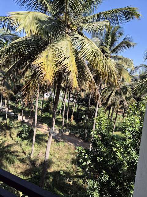 2 BHK Flat In Master Royal Meenakshi For Sale  In Master Royal Meenakshi Apartment, Behind Meenakshi Temple, Classic Orchards Layout, Hulimavu, Bengaluru, Karnataka 560076, India