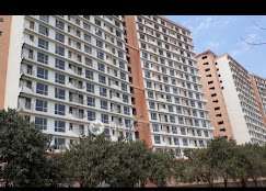 2 BHK Flat In Logix Blossom Zest for Rent  In Sector 143b