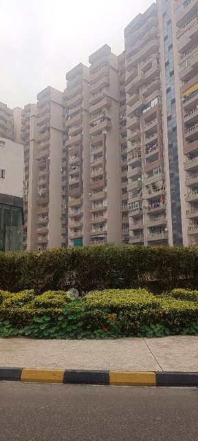 3 BHK Flat In Supertech Capetown for Rent  In Sector 74