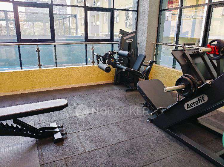 2 BHK Flat In Acorn Park for Rent  In Acorn Park