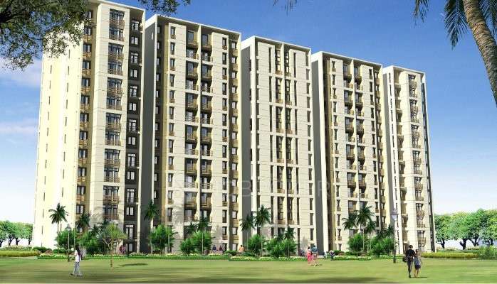 3 BHK Flat In Jaypee Green Wish Town , Sector 129 For Sale  In Sector 29