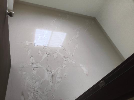 2 BHK Flat In Lotus Urban Homes for Rent In Charholi Budruk - Wadmukhwadi Rd