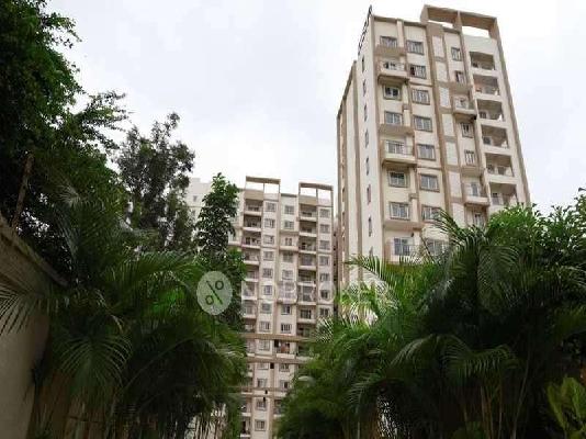 3 BHK Flat In Dsr Waterscape For Sale  In K Channasandra