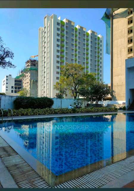 Single Room for Male In 2 BHK  In Green Life In Green Life