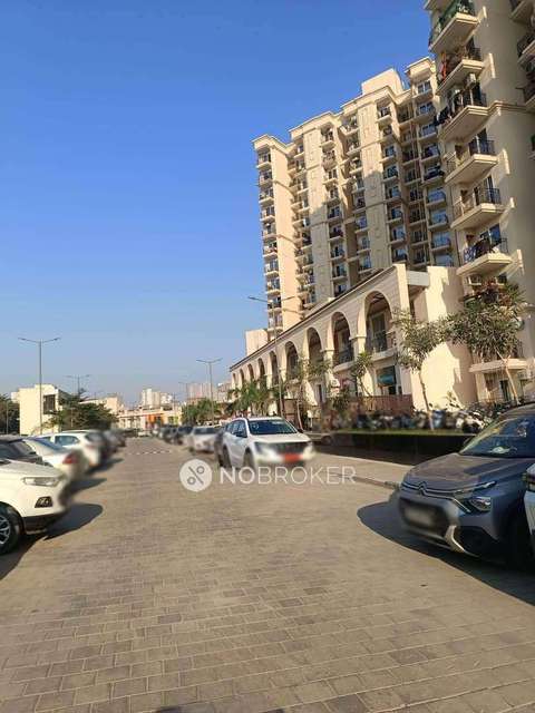 2 BHK Flat In Signature Global , The Millennia 3 for Rent  In Sector 37d