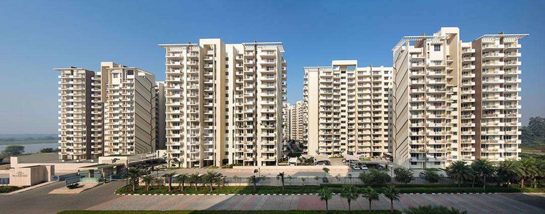 3 BHK Flat In M3m Woodshire for Rent  In Sector 104,