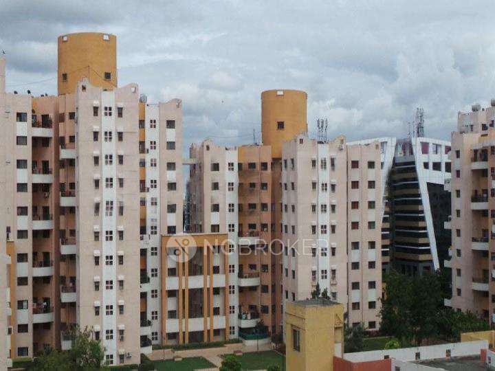 Single Room for Male In 3 BHK  In Magarpatta Daffodils Apartment In Hadapsar