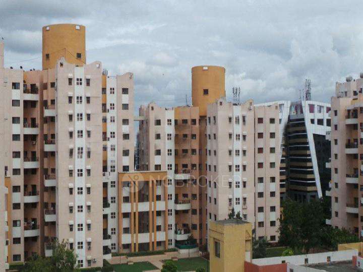 Single Room for Male In 3 BHK  In Magarpatta Daffodils Apartment In Hadapsar