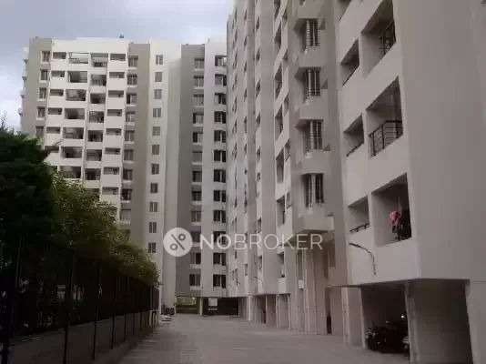 1 BHK Flat In Mantra Magic for Rent  In Moshi
