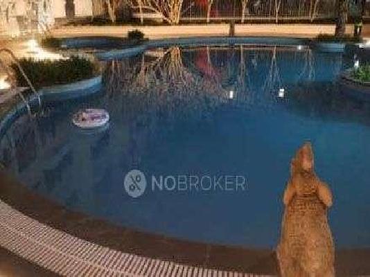 3 BHK Flat In Ds Max Sigma Apartment For Sale  In Electronic City Phase I