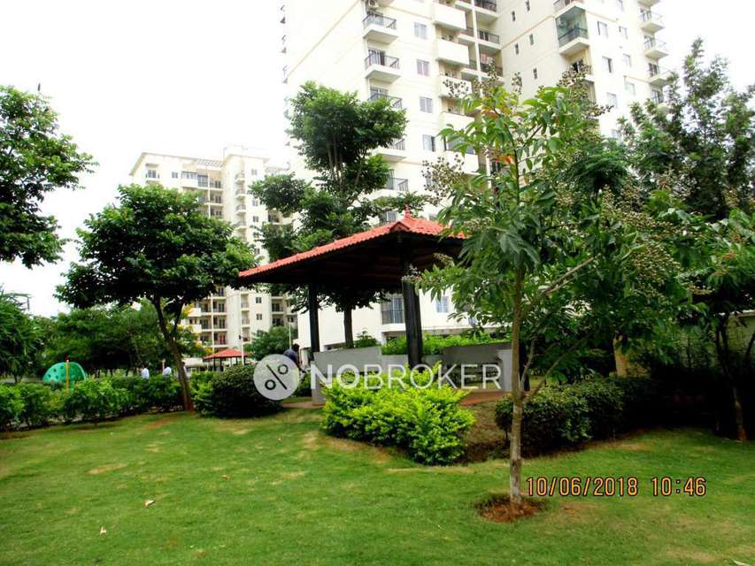 2 BHK Flat In Dlf Maiden Heights for Rent  In Rajapura