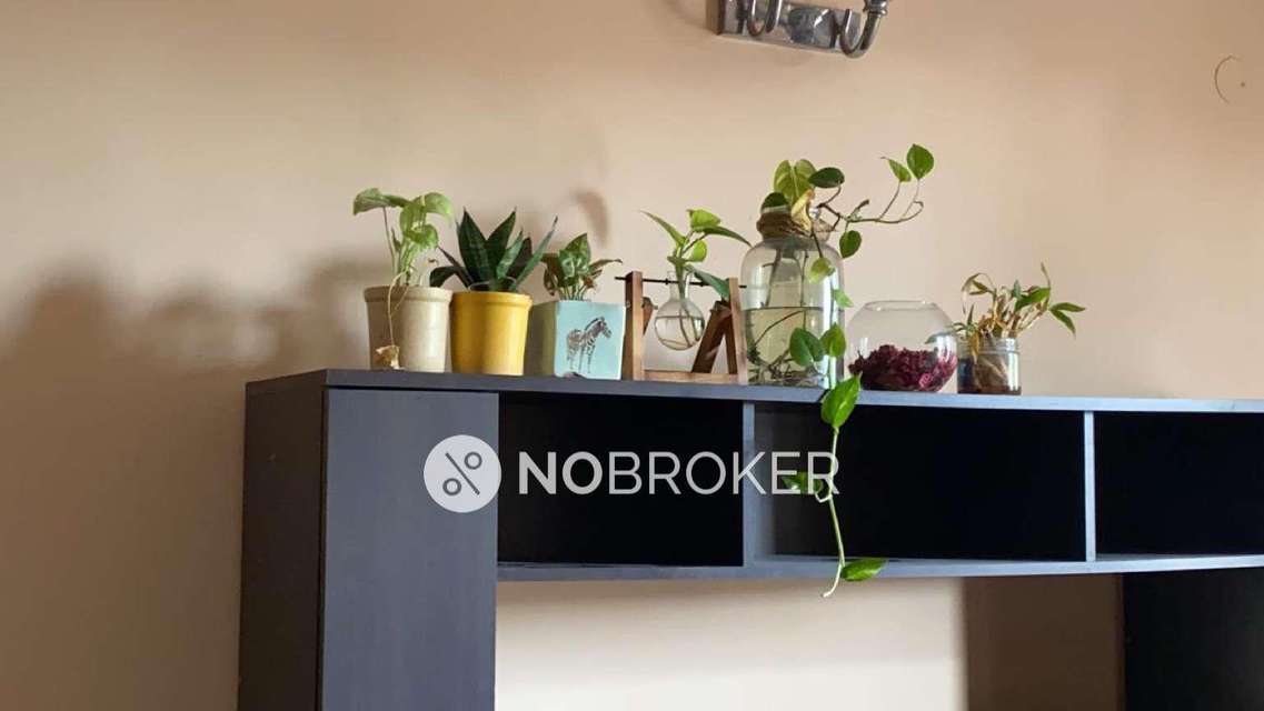 4 BHK Flat In Dlf Oakwood Estate For Sale  In Sector 25