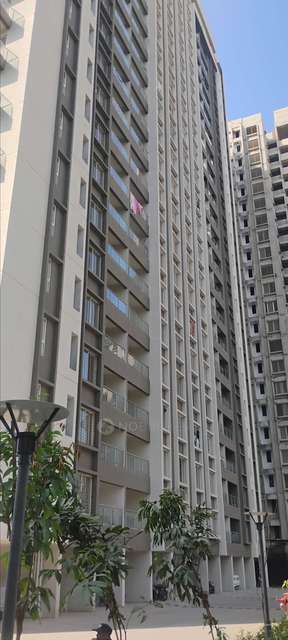 3 BHK Flat In Kolte Patil Little Earth  for Rent  In Mamurdi