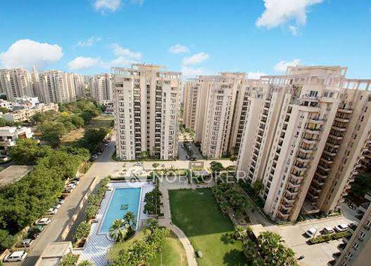 1 RK Flat In Orchid Petals for Rent  In Sector 49
