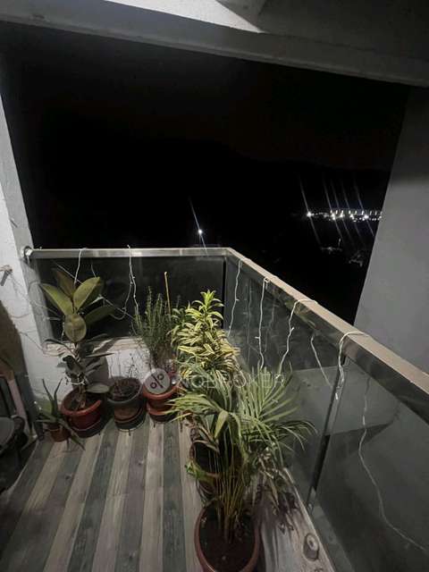 1 BHK Flat In Highpoint Itrend Homes Phase 2 for Rent  In Hinjawadi