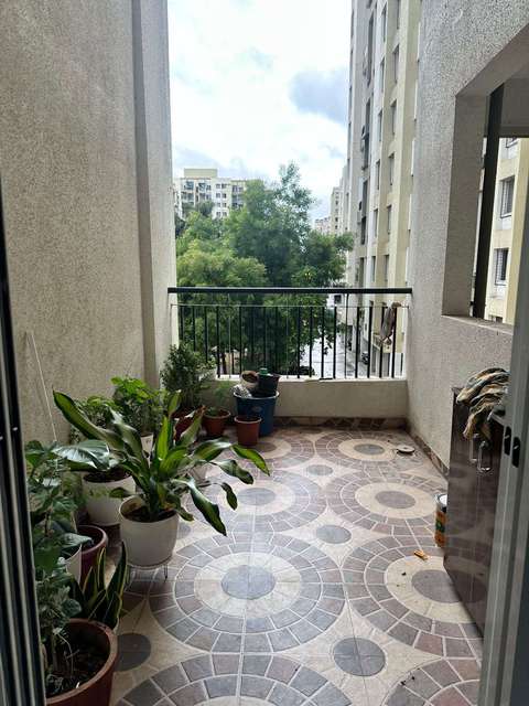 2 BHK Flat In Neocity Phase 3 C-building Wagholi Pune for Rent  In Wagholi 