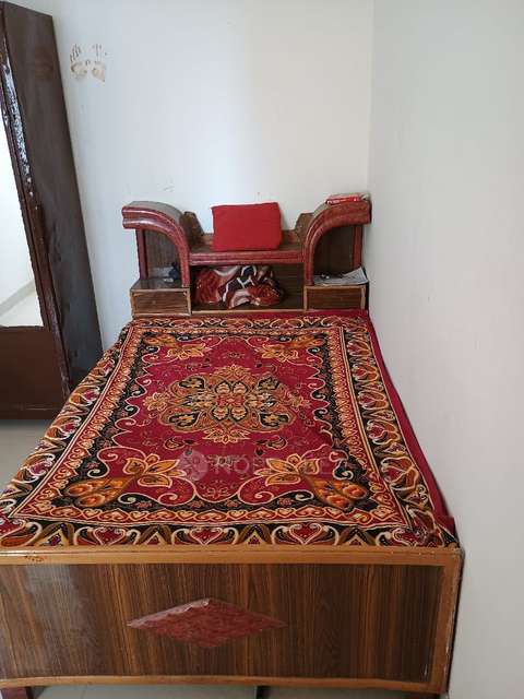 1 BHK Flat In Gera Shris for Rent  In Podar International School - Wagholi