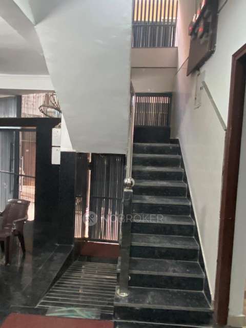 PG for Anyone in  Sector 126