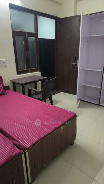 PG for Anyone in  Sector 126