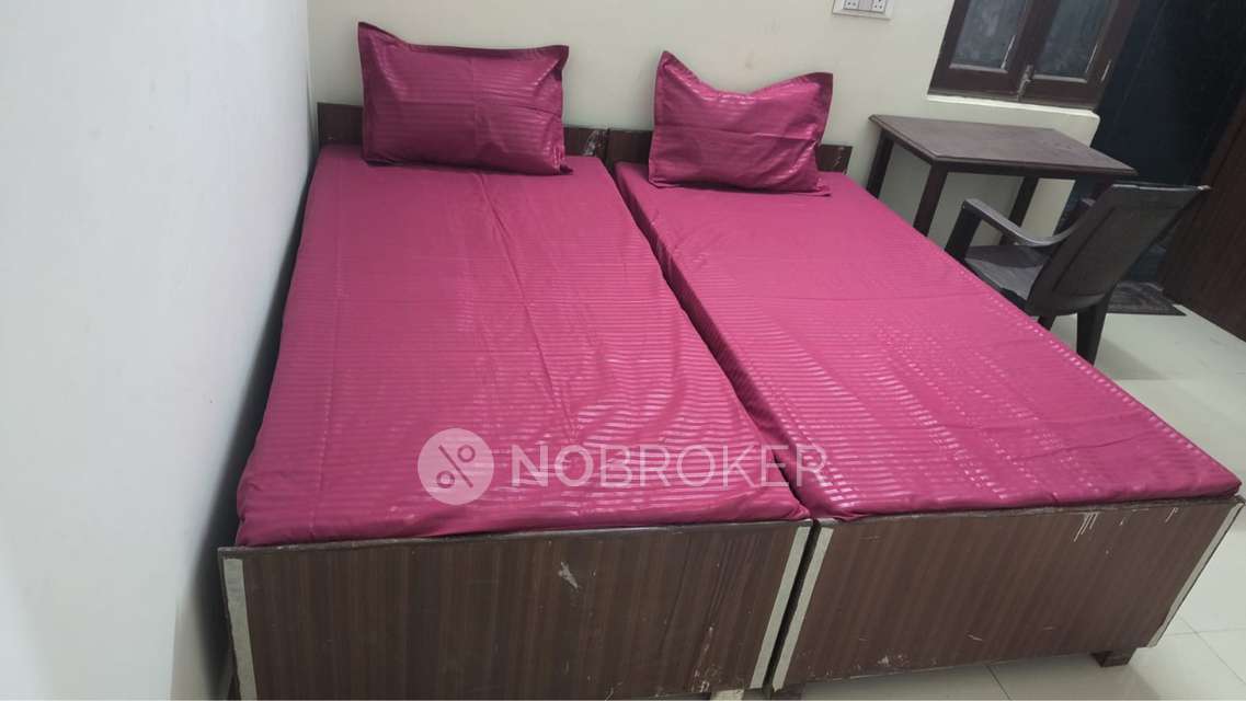 PG for Anyone in  Sector 126