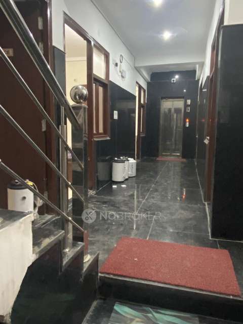 PG for Anyone in  Sector 126